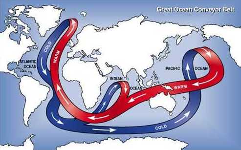 ocean currents animation. Great Ocean Conveyor Belt